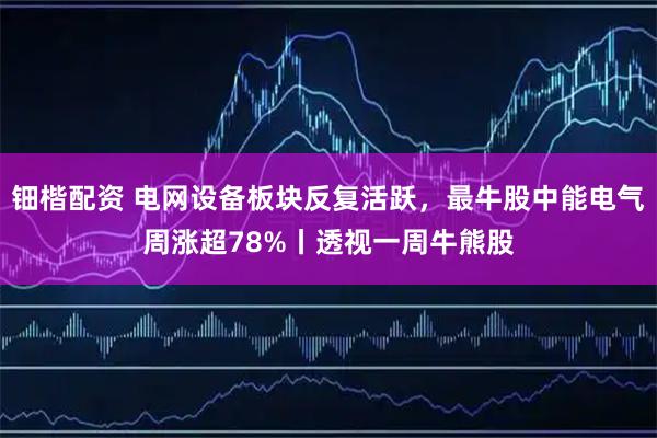 钿楷配资 电网设备板块反复活跃，最牛股中能电气周涨超78%丨透视一周牛熊股
